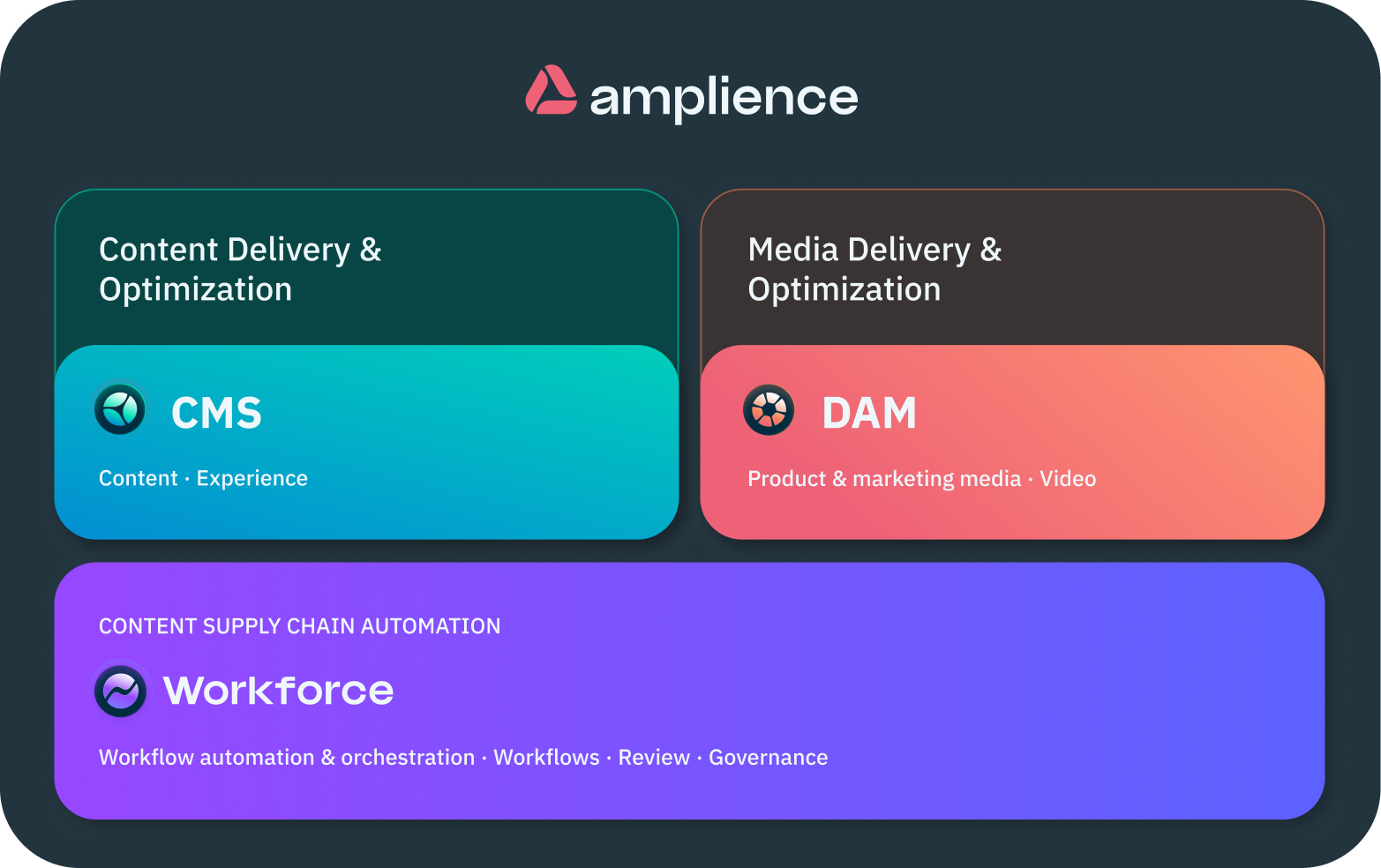 Amplience platform graphic showing CMS, DAM, and Workforce modules.